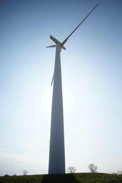 Fra Sol Til Vind: Mangfoldet I Grønn Energi